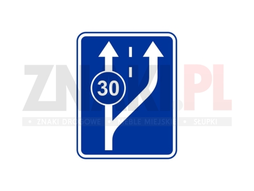 D13 - początek pasa ruchu powolnego.jpg