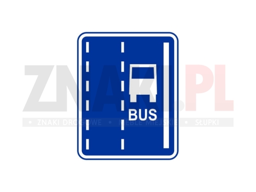 D12 - pas ruchu dla autobusów.jpg