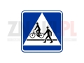 D6b - przejście dla pieszych i przejazd dla rowerzystów.jpg